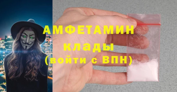 дмт Богданович