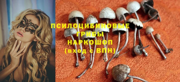 дурь Бронницы