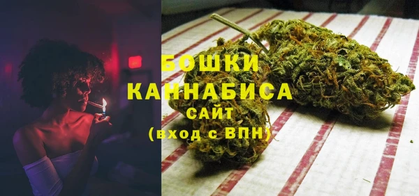 дурь Бронницы