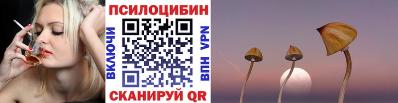Псилоцибиновые грибы прущие грибы мориарти клад Карталы